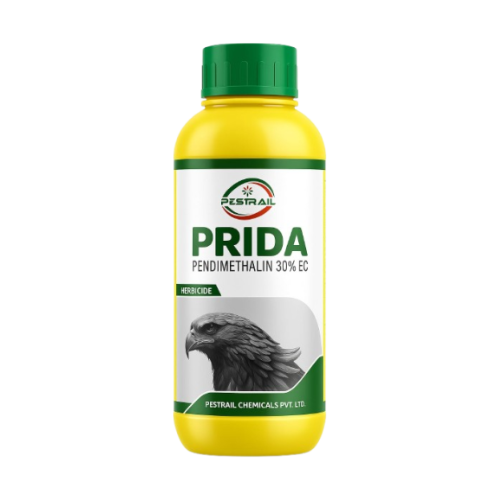 PRIDA
